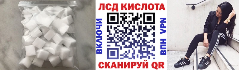 где купить наркотик  Новомосковск  ЛСД экстази ecstasy 