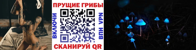 Галлюциногенные грибы GOLDEN TEACHER  Новомосковск 
