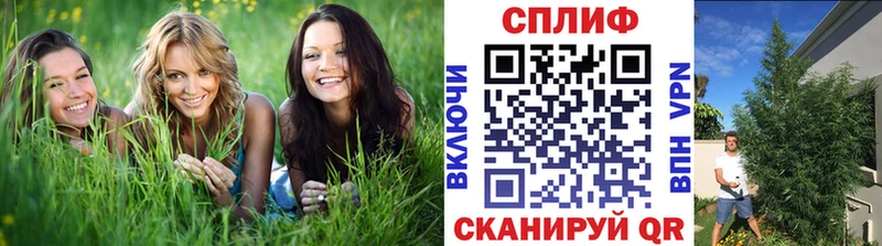 сколько стоит  Новомосковск  Марихуана марихуана 